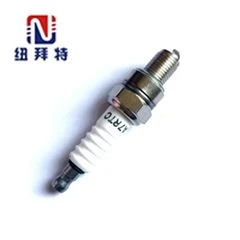 Ignition Plug for Motorcycle Ignition Plug for Motorcycle